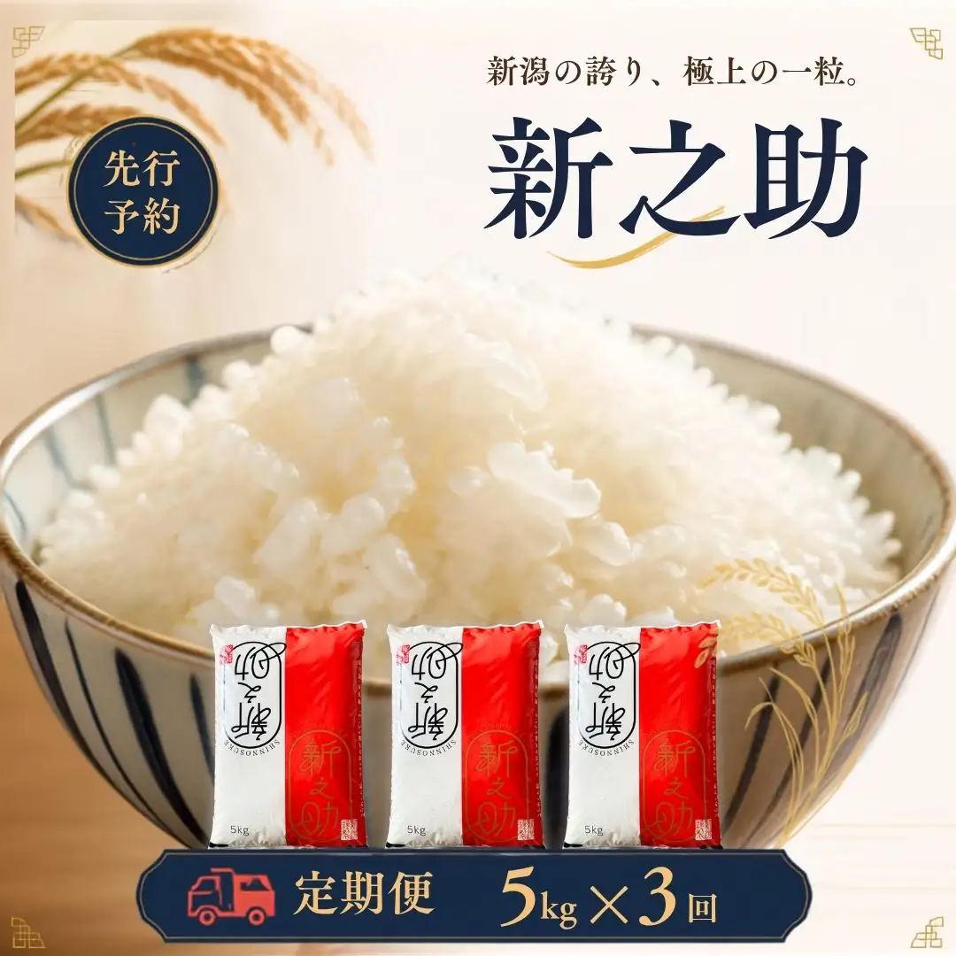 先行予約 定期便 新之助5kg × 3回 新潟県産 令和8年 しんのすけ 精米