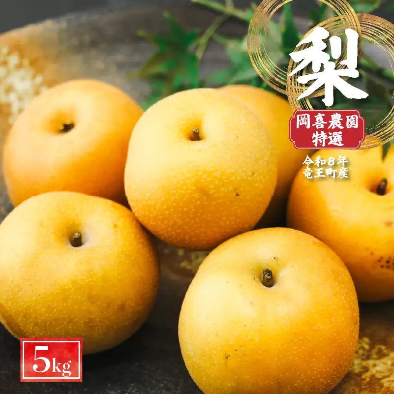 【期間限定】 梨  5kg 品種 おまかせ 8月下旬～9月下旬発送 岡喜農園 令和8年産 数量限定 なし ナシ 幸水 豊水 2026年産 フルーツ 果実 くだもの