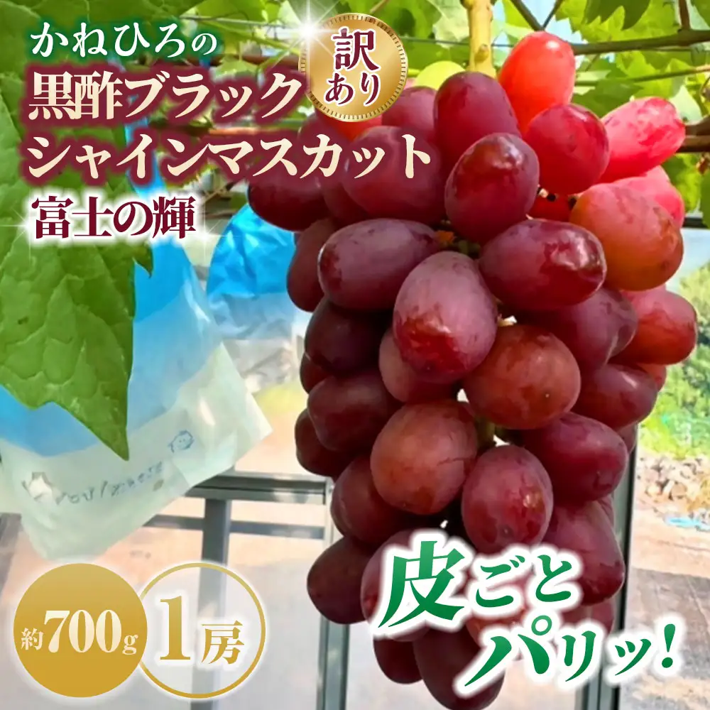 【訳あり】かねひろの黒酢ブラックシャインマスカット - 富士の輝き 1房 （ 約700g ） シャインマスカット マスカット ぶどう ブドウ 葡萄 果物 くだもの フルーツ 果実 果肉 黒酢 黒酢アミノ酸 皮ごと 酸味 国産 佐賀県産 オススメ お取り寄せ 【 2026年9月中順次発送予定 】