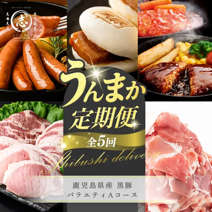 【定期便全5回】鹿児島県産 黒豚バラエティAコース！志布志うんまか定期便 豚肉 黒豚 切り落とし ウィンナー ソーセージ トンカツ トンテキ 肉まん 中華まん ハンバーグ 国産 セット t0064-003