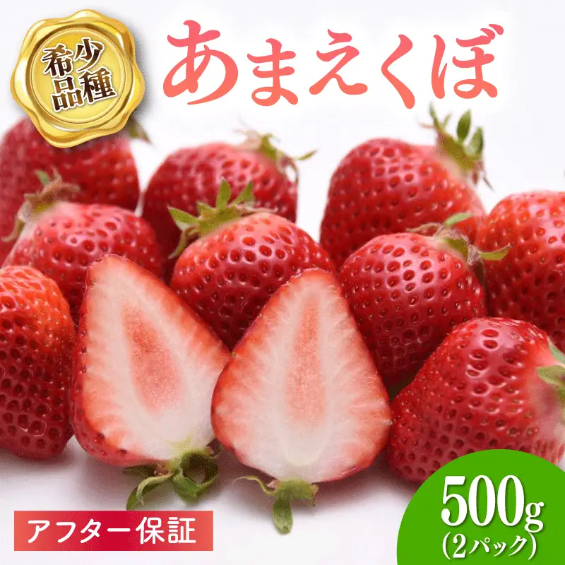 いちご 2パック（500g） 【2027年1-3月発送】