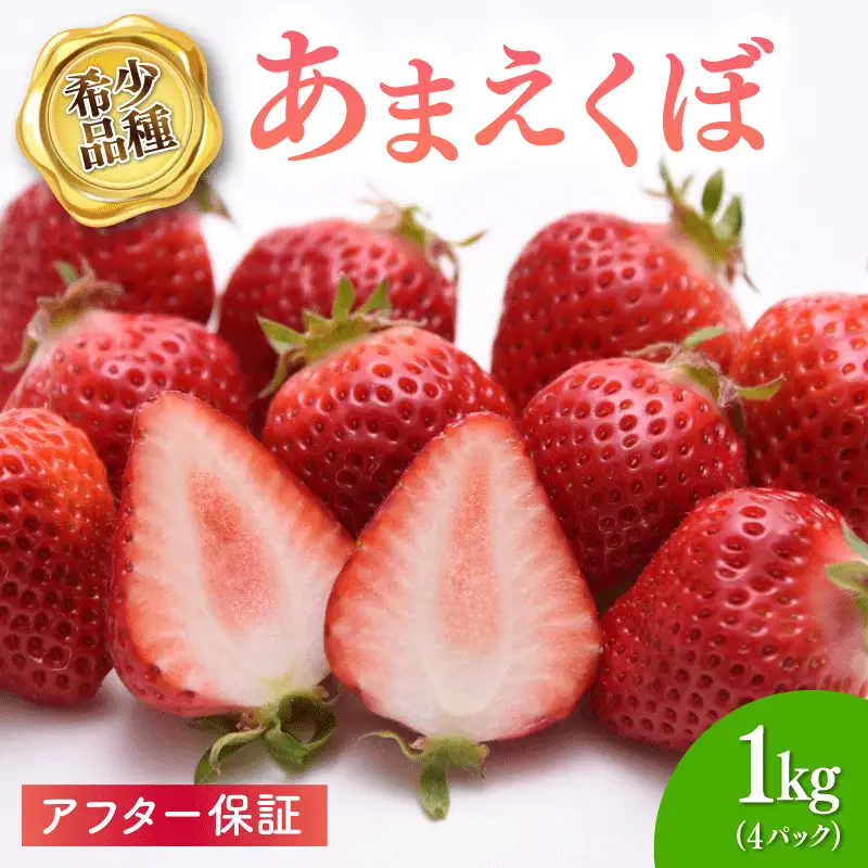 いちご 4パック（1kg） 【2027年1-3月発送】