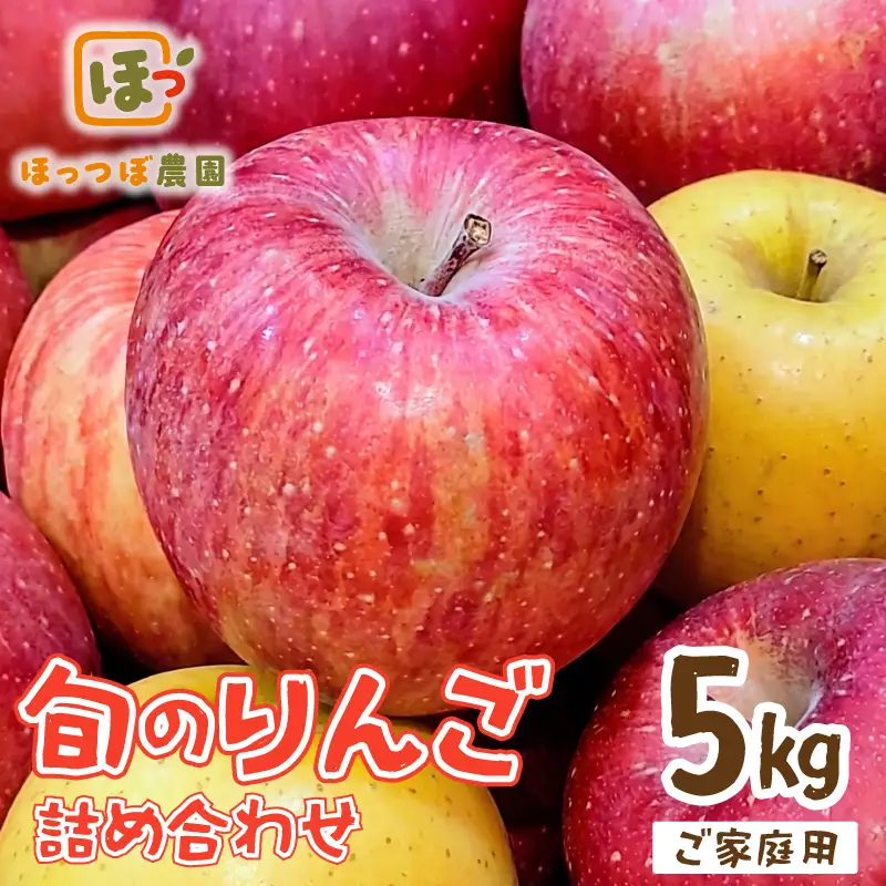 先行予約 家庭用 りんご 品種おまかせ 5kg りんご