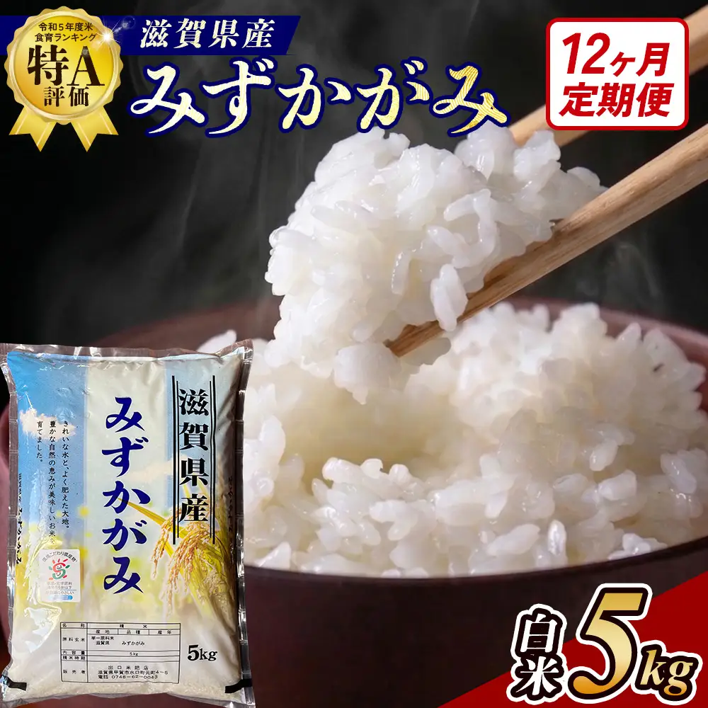 【令和8年産 新米】【定期便】近江米みずかがみ 5kgx12回定期便（精米）
