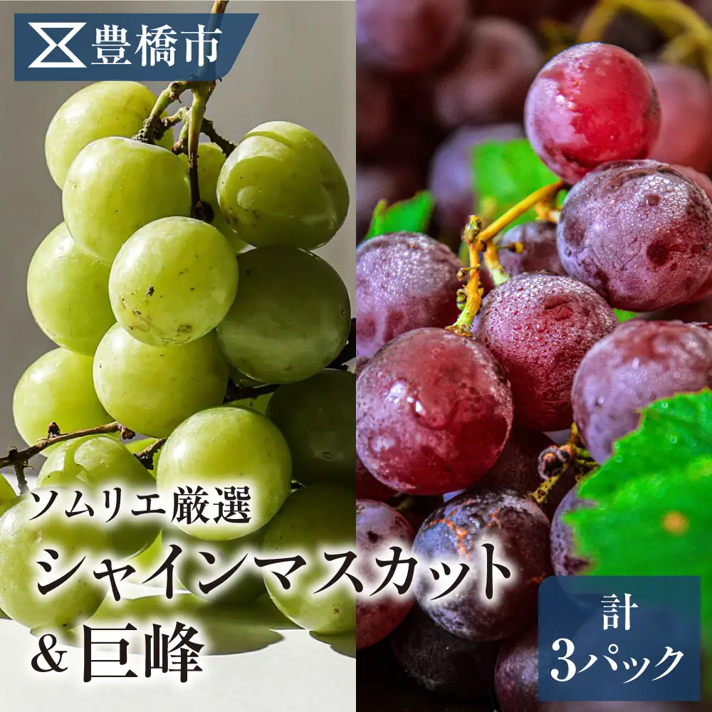 《先行予約》豊橋市産 ぶどう2種詰め合わせ 産地直送 種なし巨峰 シャインマスカット 食べ比べ