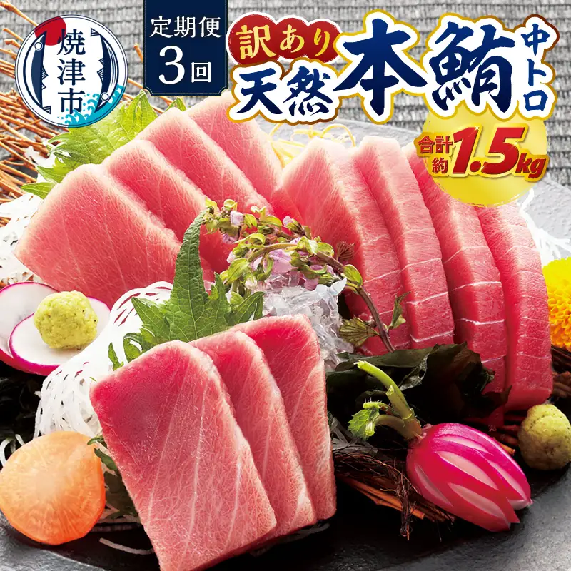 訳あり　本マグロ 天然 中トロ 500g【定期便3回】 (a42-018)
