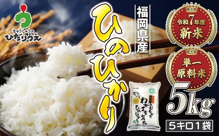 【令和7年産米】【2025年11月より順次発送】JAよりお届け！「ひのひかり」 5kg（5kg×1袋）[H2314a]