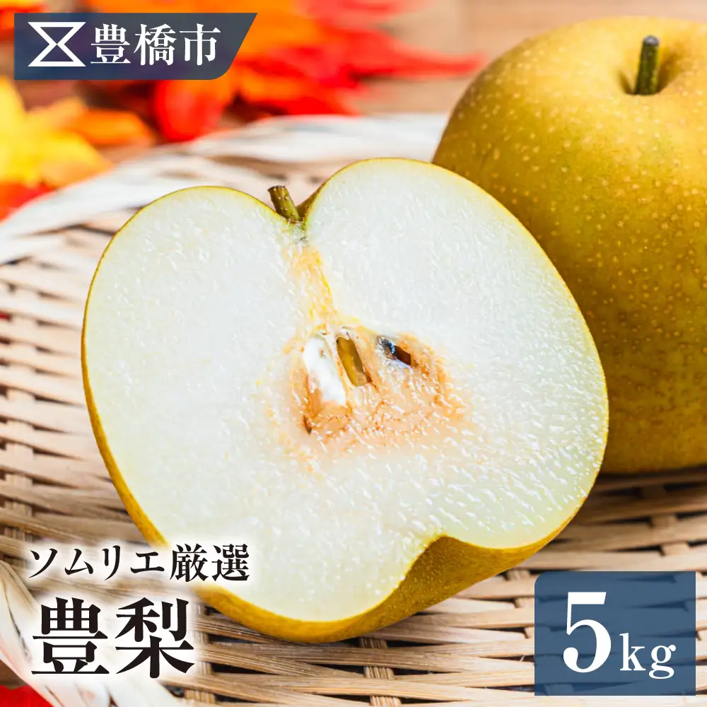 豊橋市産 梨 5kg（10～18玉・品種おまかせ） 産地直送 旬の品種 幸水 豊水 秋月 新高