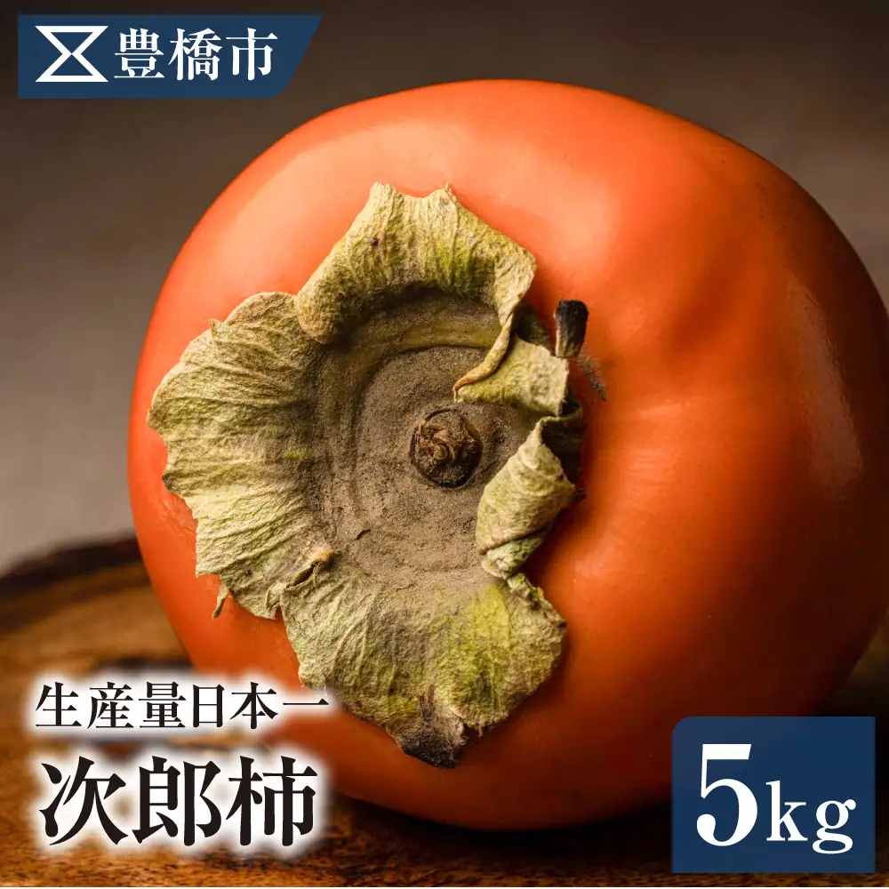 豊橋市産 次郎柿 正品 5kg 産地直送