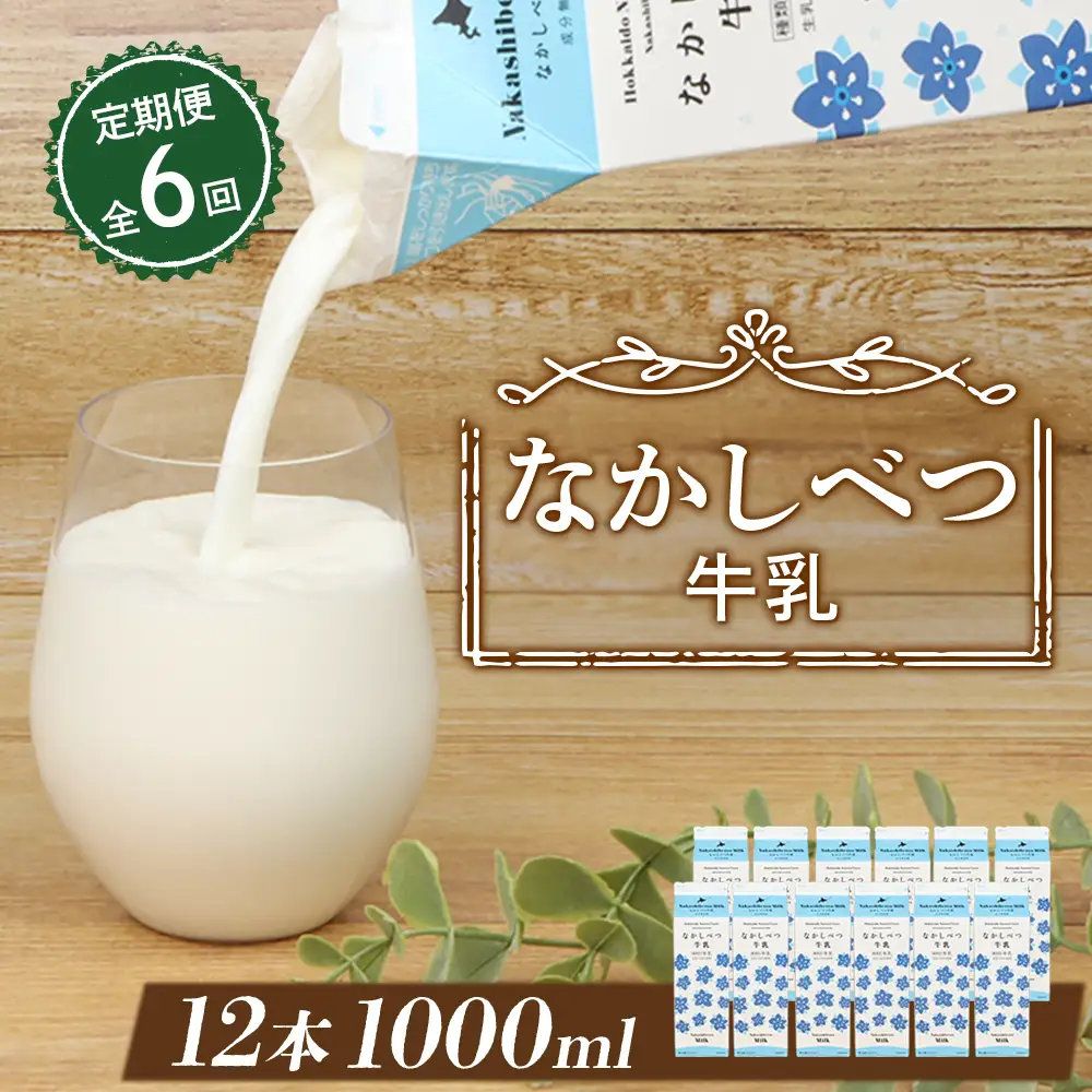 【定期便：全6回】北海道なかしべつ牛乳 1L×12本【14060】
