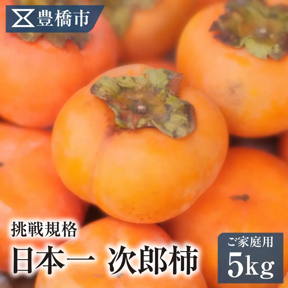 豊橋市産 次郎柿 ご家庭用 5kg 産地直送