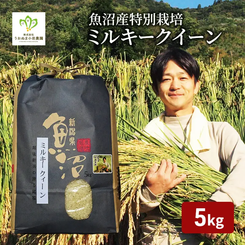 令和8年産 先行予約 魚沼産ミルキークィーン 精米5kg 米 こめ お米 コメ ミルキー クイーン 新潟県 魚沼市 魚沼 ミルキークイーン 