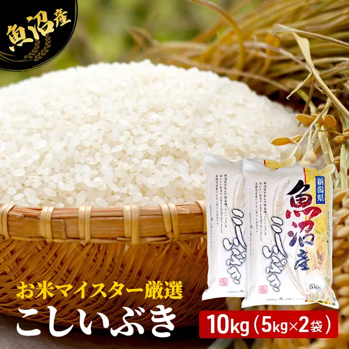 【先行予約】令和8年産 お米マイスター厳選 魚沼産 こしいぶき100％ 10kg 精米 ( 5kg × 2袋 )（ 米 魚沼 新潟 お米 こめ コメ おこめ 白米 良食味品種 安心安全 10キロ ） 新潟県