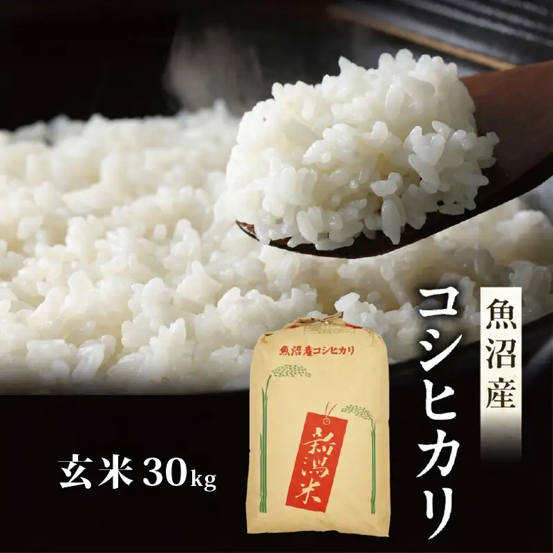 【先行予約】令和8年産 真砂屋厳選 魚沼産コシヒカリ（玄米）30kg お米 コメ こしひかり 新潟県 魚沼市 魚沼