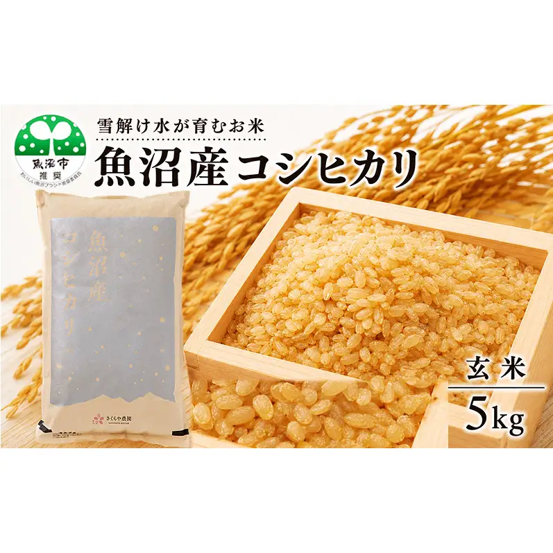 【先行予約 令和8年産】さくらや農園 魚沼産コシヒカリ 玄米5kg お米 ご飯 綺麗な水 美味しい 試行錯誤 黒酢 はちみつの 発酵液 健康 ふっくら もっちり 甘み リピート 