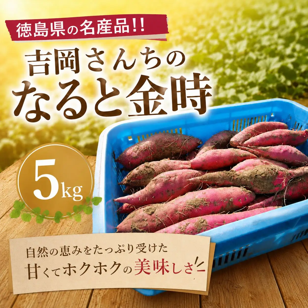 なると金時 秀品5kg