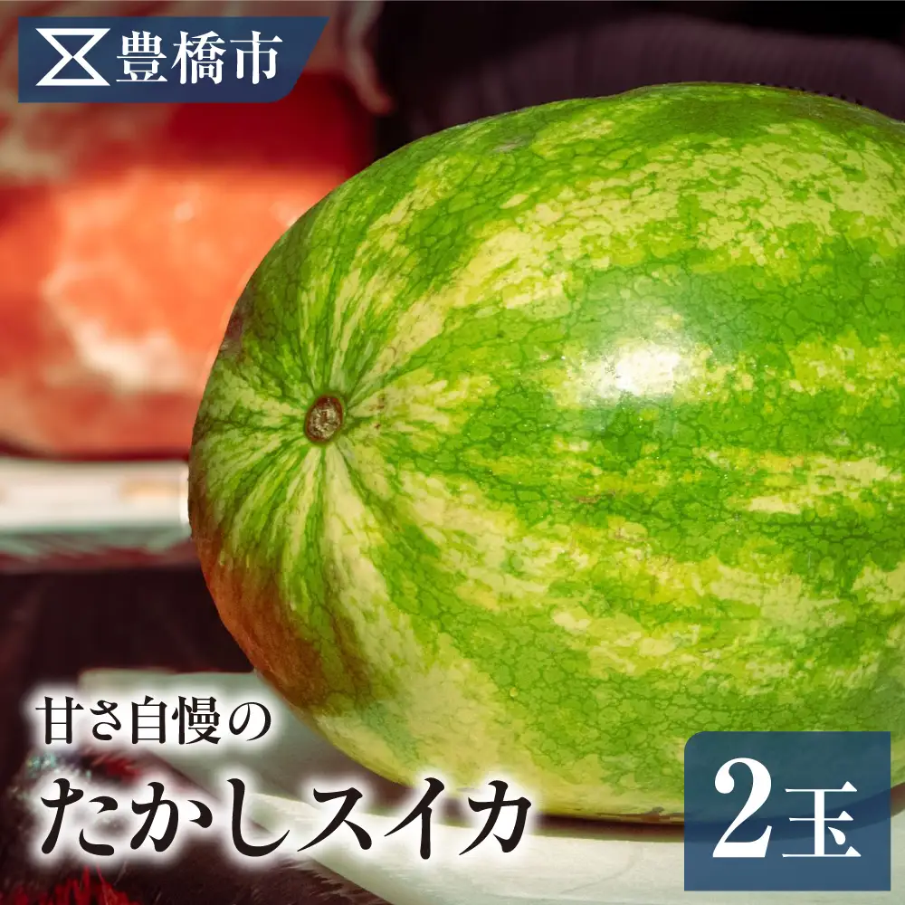 豊橋市産 たかしすいか 2玉（計15kg） 産地直送 スイカ 銀河 縞無双 羅王