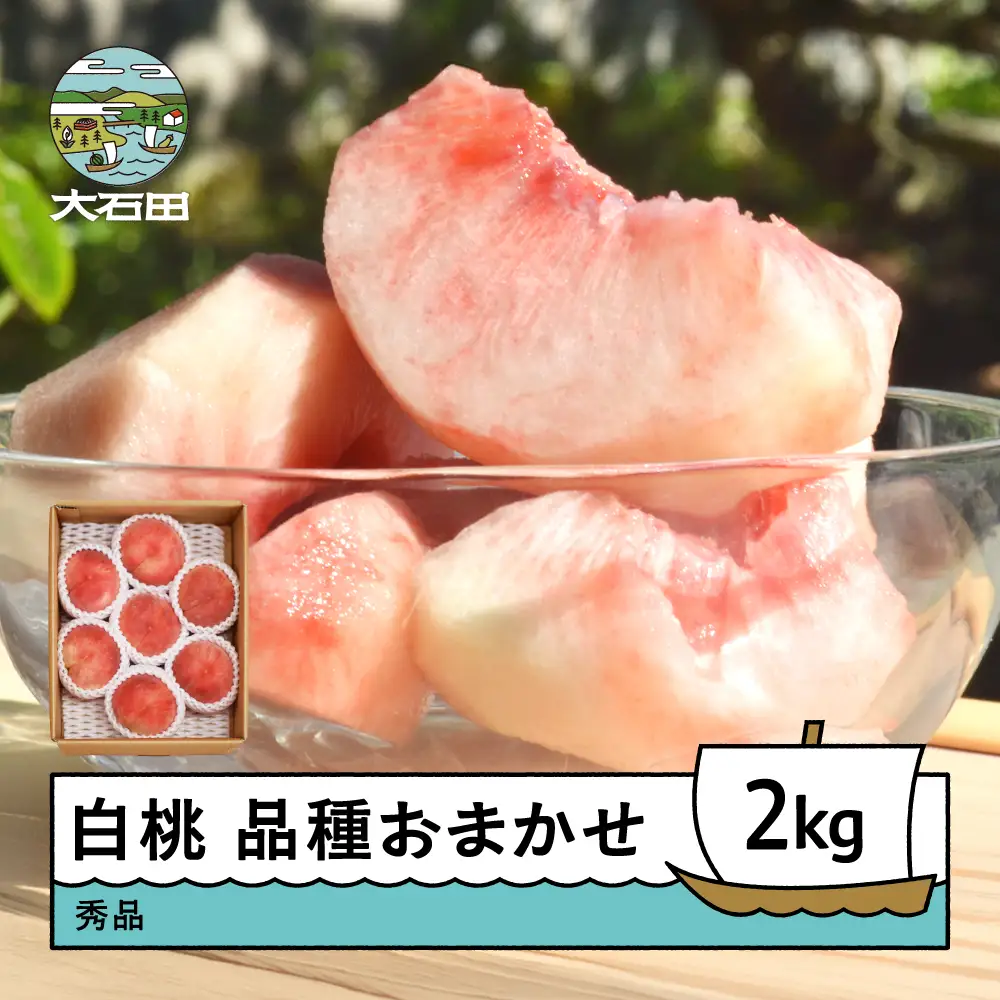 もも 白桃 品種おまかせ 2kg 令和8年産 2026年産 ry-mohtx2000 | 山形