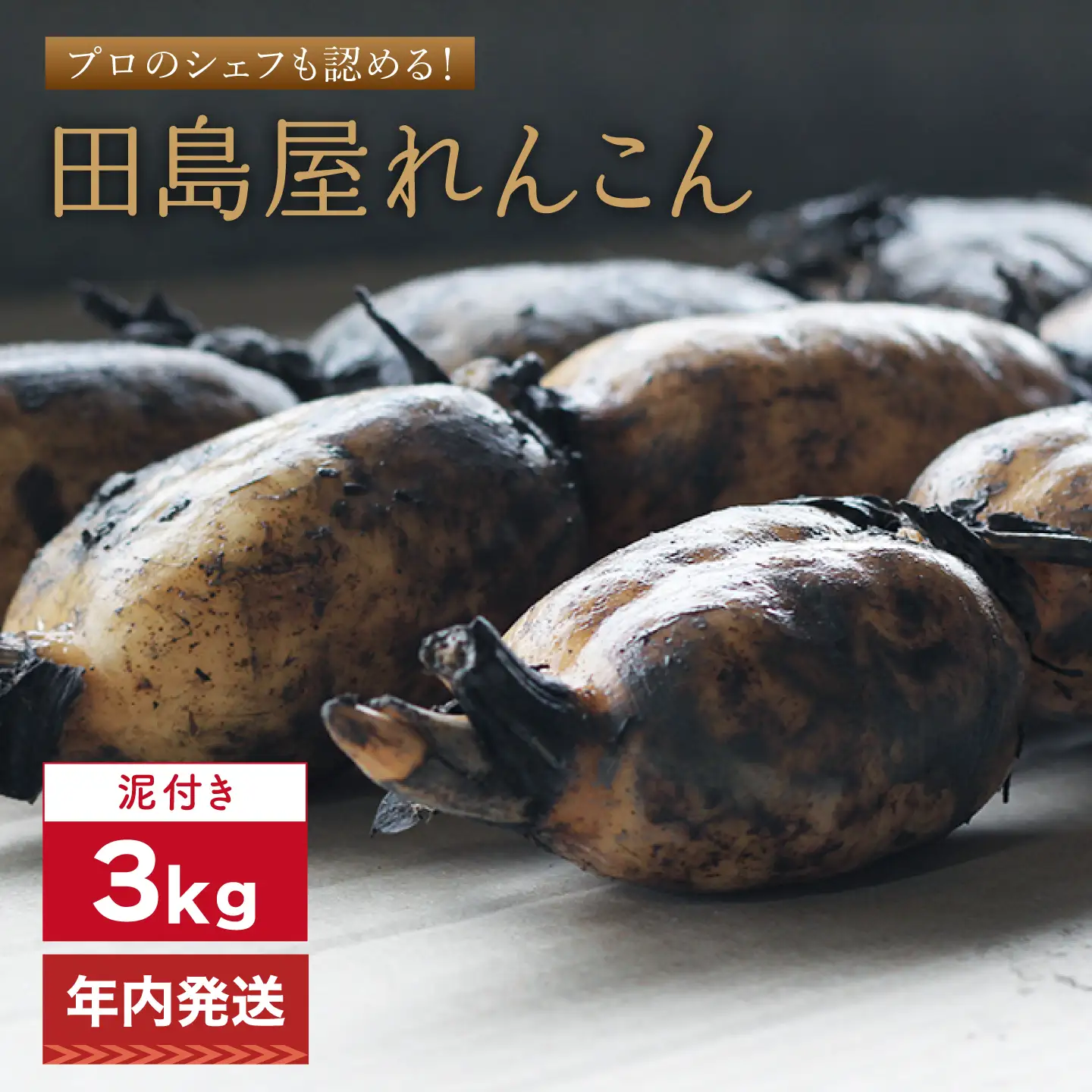 【年内発送】れんこん3kg（泥付き）[IAV008]