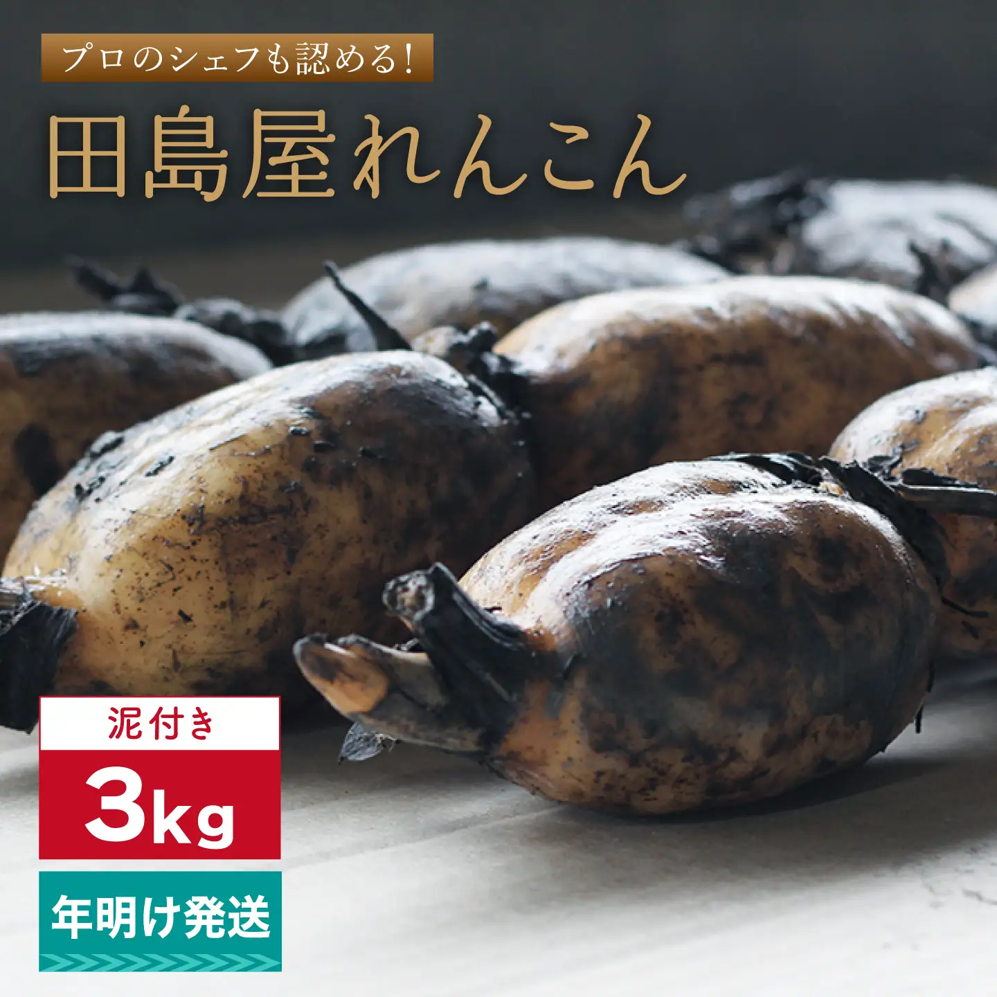 【年明け発送】れんこん3kg（泥付き）[IAV009]