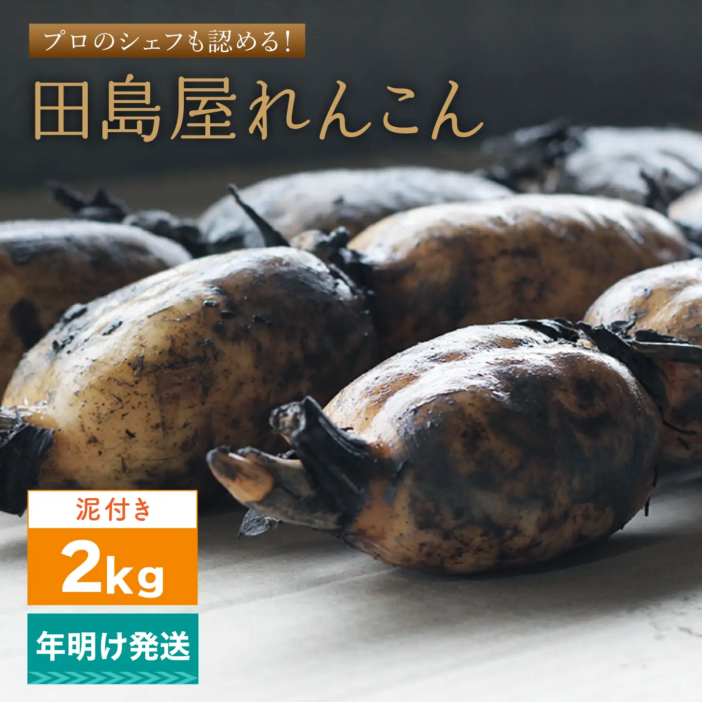 【年明け発送】れんこん2kg（泥付き）[IAV011]