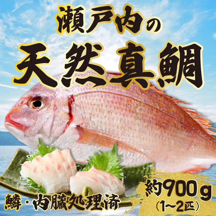 道の駅 天然鯛 約900g～1kg(1匹～2匹) 鱗・内臓処理済 新鮮 国産 季節 地魚 天然 鮮魚 下処理 タイ たい 瀬戸内 広島県 三原市 030007
