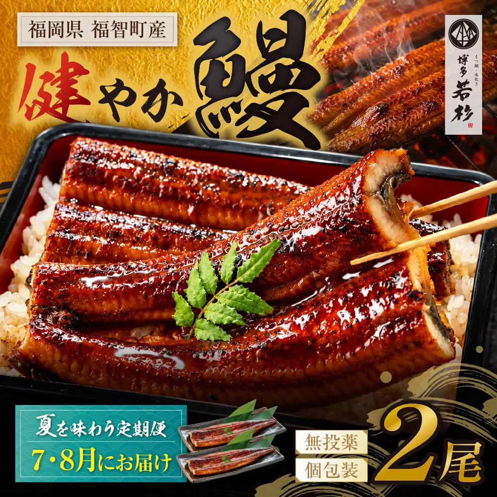 Z61-319 健やか鰻 国産うなぎ蒲焼 (無頭) 2尾 (計310g以上) ★定期便・夏発送★