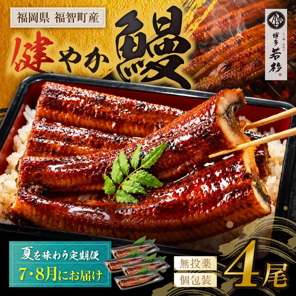 Z61-321 健やか鰻 国産うなぎ蒲焼 (無頭) 4尾 (計620g以上)  ★定期便・夏発送★