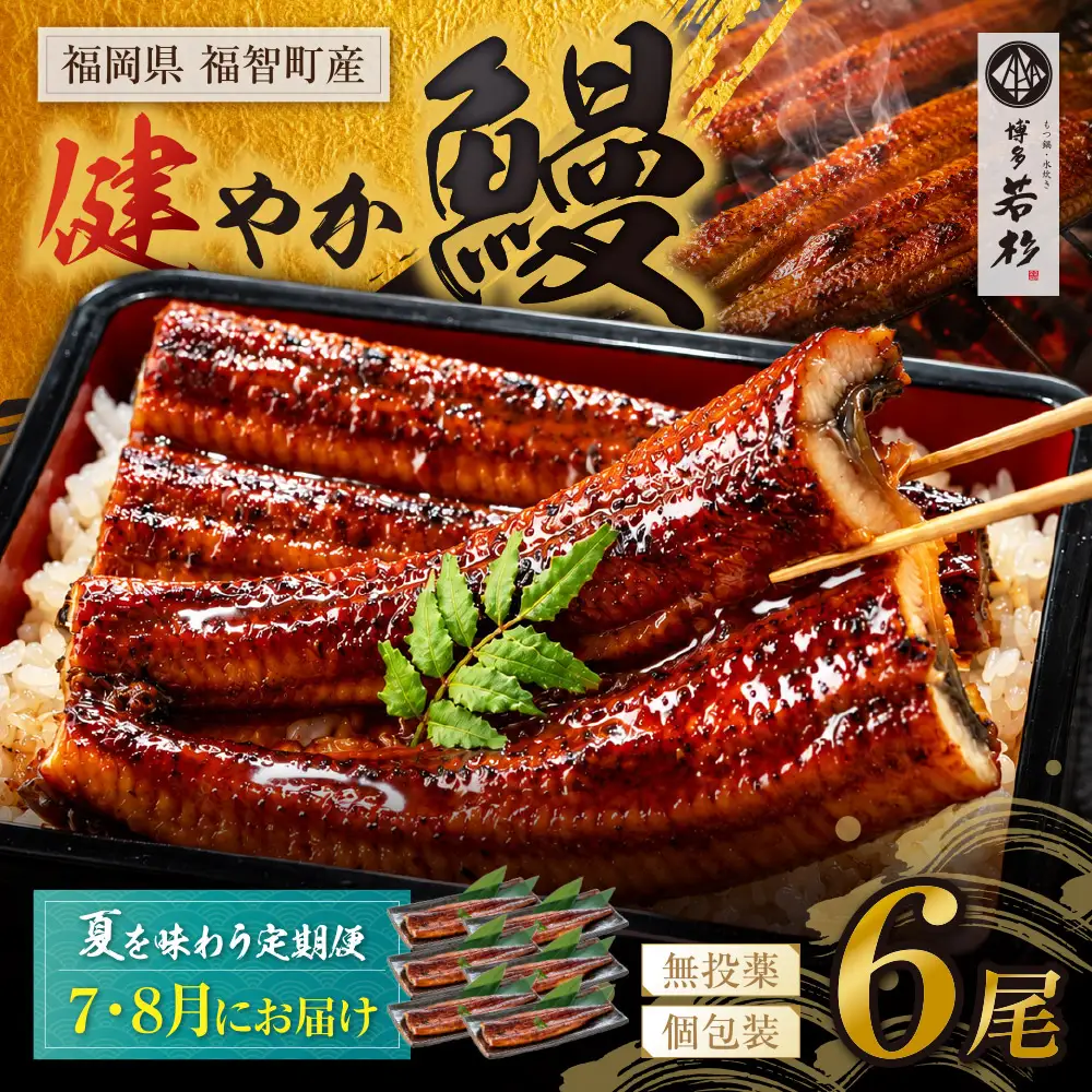 Z61-323 健やか鰻 国産うなぎ蒲焼 (無頭) 6尾 (計930g以上) ★定期便・夏発送★