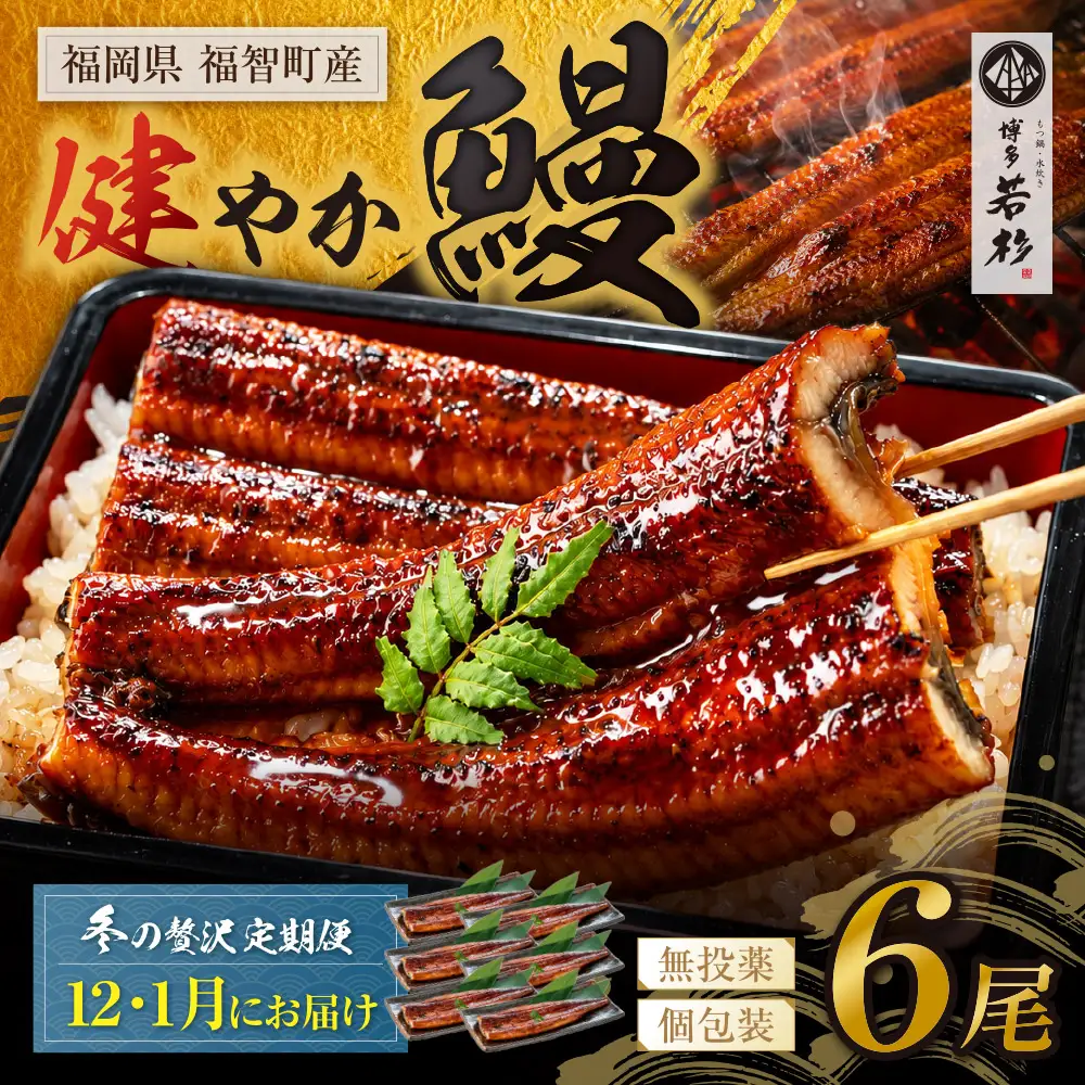 Z61-324 健やか鰻 国産うなぎ蒲焼 (無頭) 6尾 (計930g以上) ★定期便・冬発送★