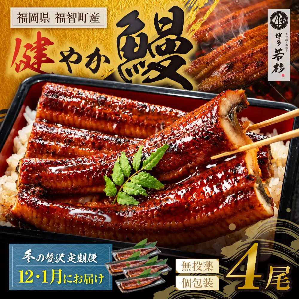 Z61-322 健やか鰻 国産うなぎ蒲焼 (無頭) 4尾 (計620g以上) ★定期便・冬発送★
