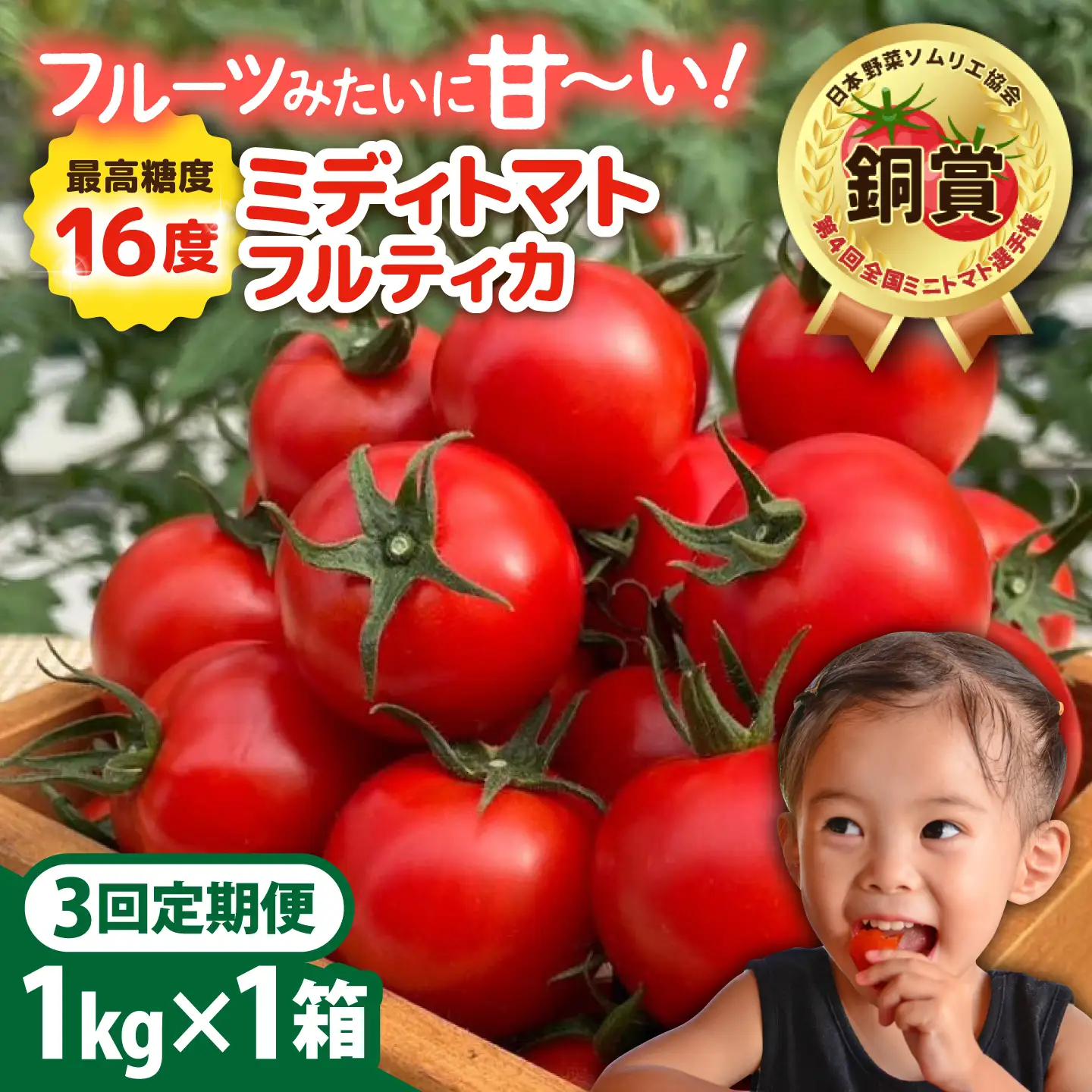 【先行予約】【全3回定期便】 フルティカ 1kg糸島市 / かわぞえ農園 トマト 中玉トマト 【2026年11月以降順次発送】[AAM010]