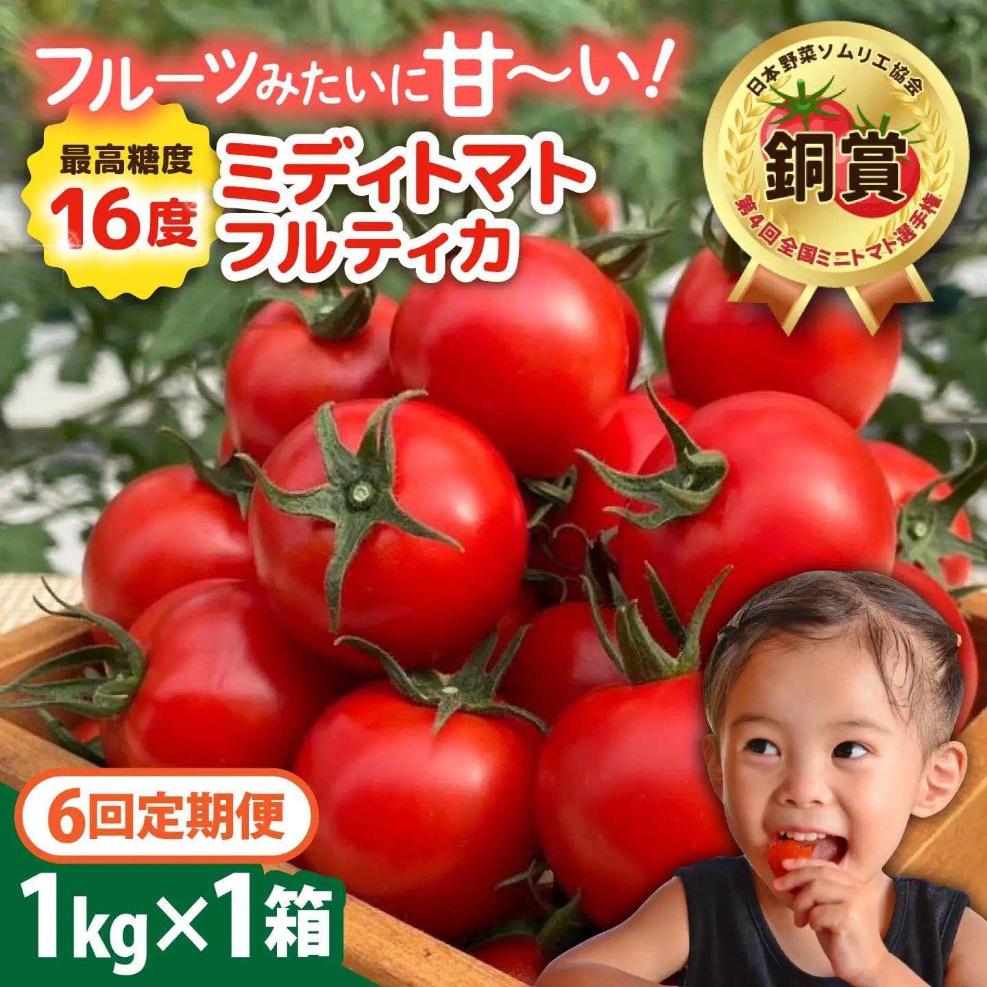 【先行受付】【全6回定期便】 フルティカ 1kg糸島市 / かわぞえ農園 トマト 中玉トマト 【2026年11月以降順次発送】[AAM011]