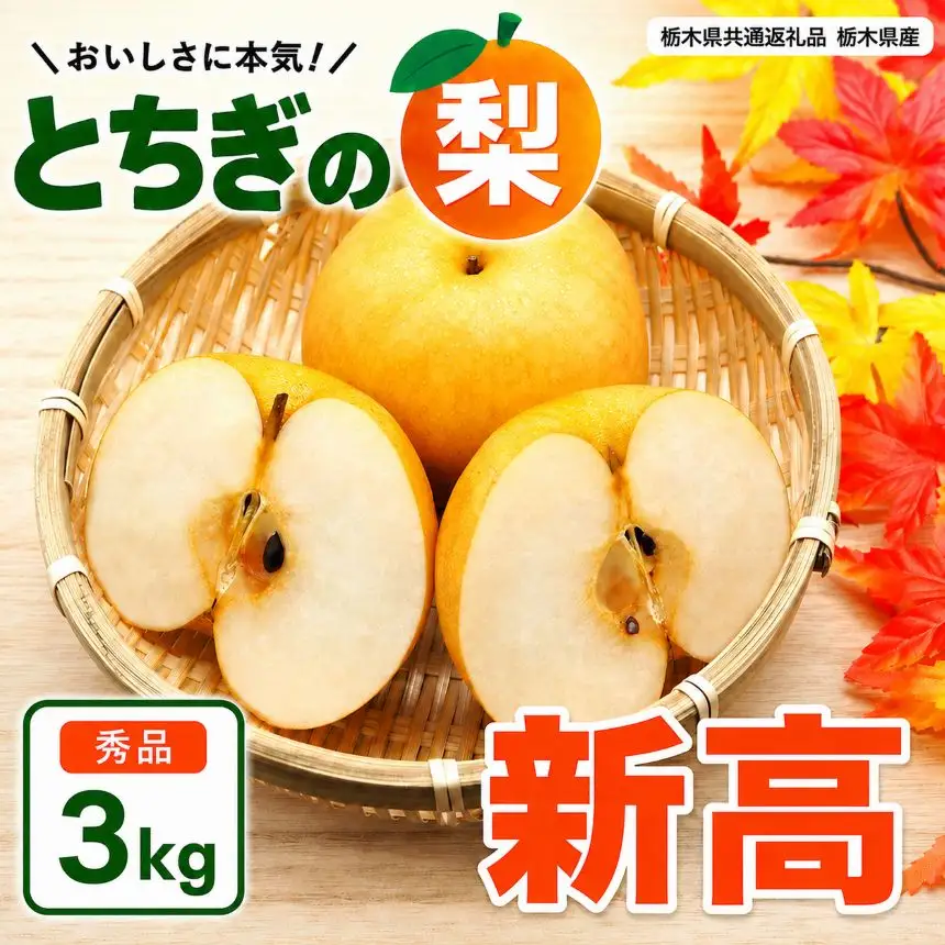 梨 新高 にいたか 秀品 3kg | 2026年9月～10月発送 先行予約 栃木県共通返礼品 栃木県産 矢板市