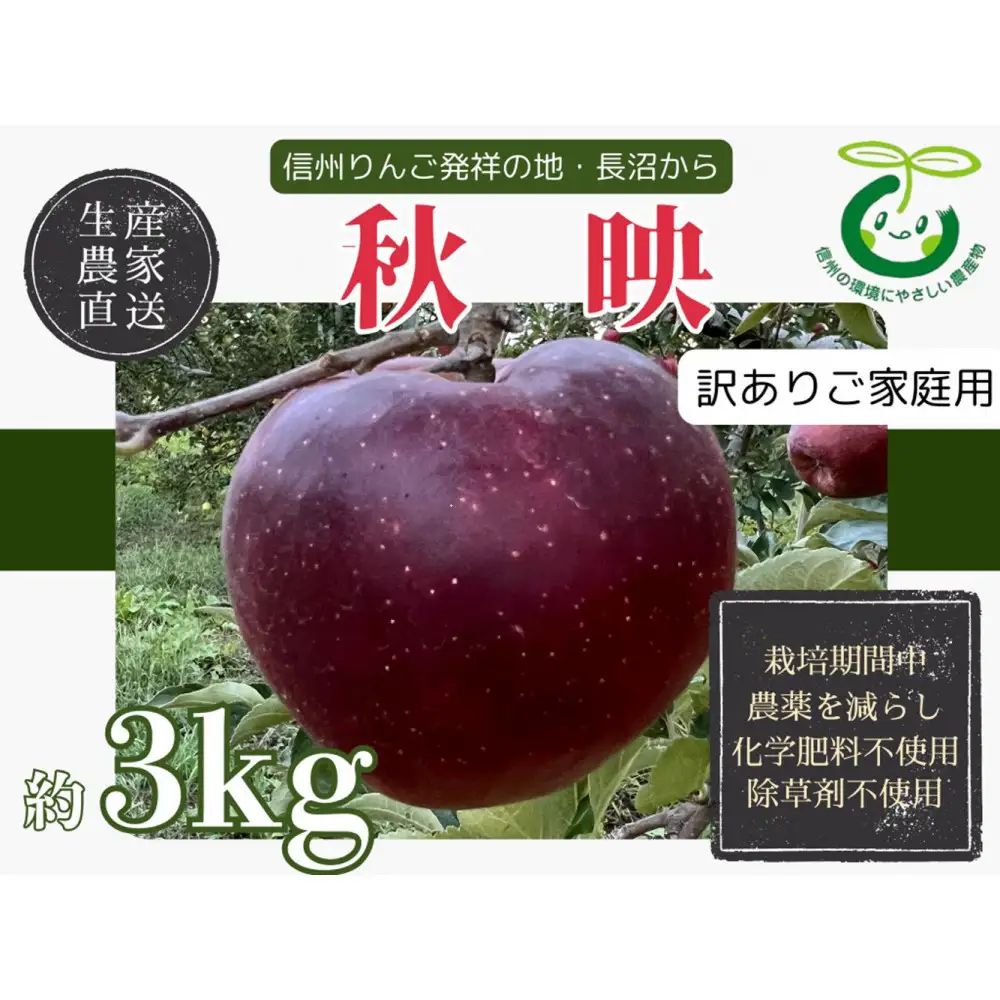 【訳あり】ヤーミーズファーム　生産農家直送 人にやさしい 長沼りんご・秋映3kg（ご家庭用） |  りんご 林檎 フルーツ 果物 秋映 家庭用 長沼 おすすめ 人気 送料無料 長野県 長野市 信州 信濃 ふるさと納税