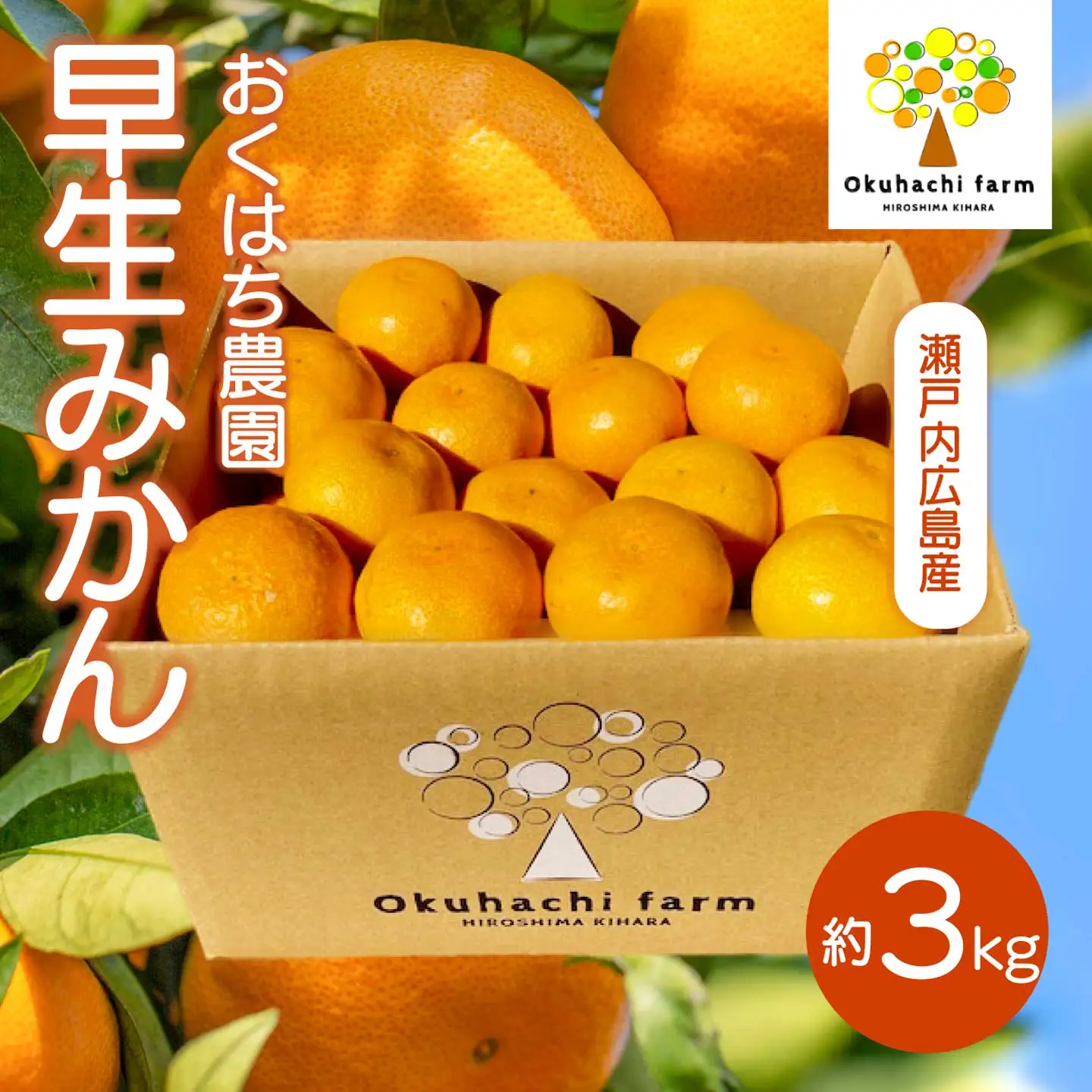 早生みかん 3kg 《2026年11月中旬～下旬発送予定》栽培期間中 防腐剤 ワックス 不使用 おくはち農園 旬 柑橘 かんきつ フルーツ 果物 瀬戸内 166001