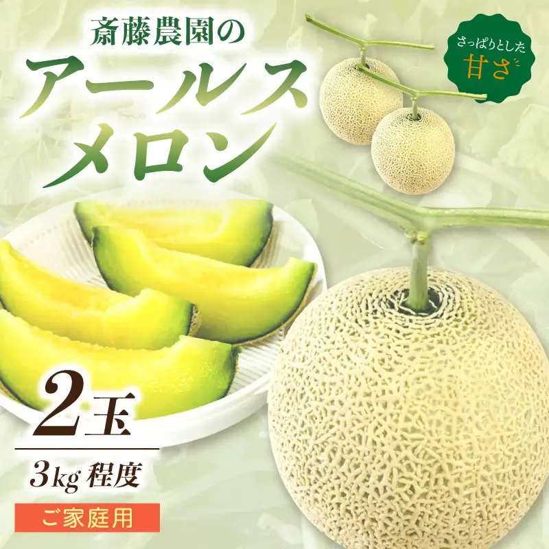 アールスメロン(マスクメロン) 2玉 3kg程度 糖度13度程度≪家庭用≫【配送不可地域：北海道・青森・秋田・岩手・沖縄・離島】【1354】