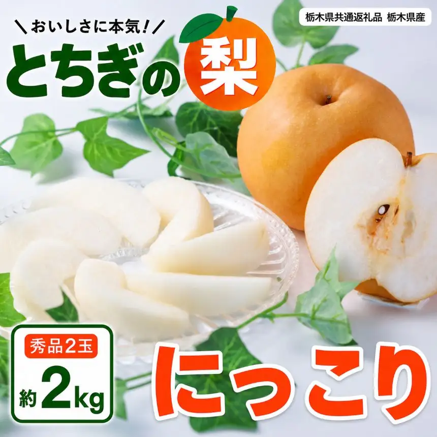 梨 にっこり 大玉 2玉 秀品 2kg | 2026年10月～11月発送 先行予約 栃木県共通返礼品 栃木県産 矢板市