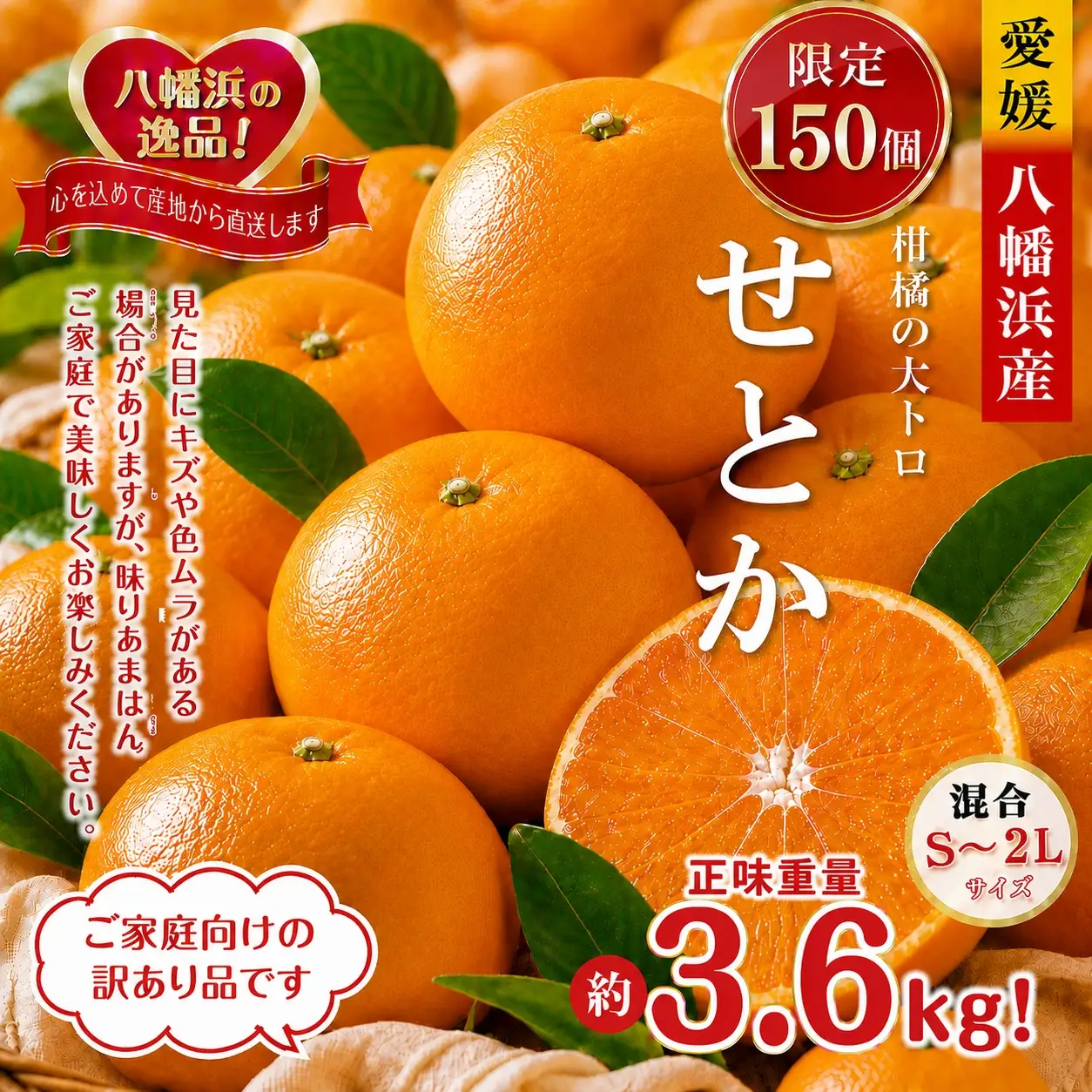【先行受付】限定150個　柑橘の大トロ!「せとか」約3.6キロ【訳あり品・家庭向け】YWTF063