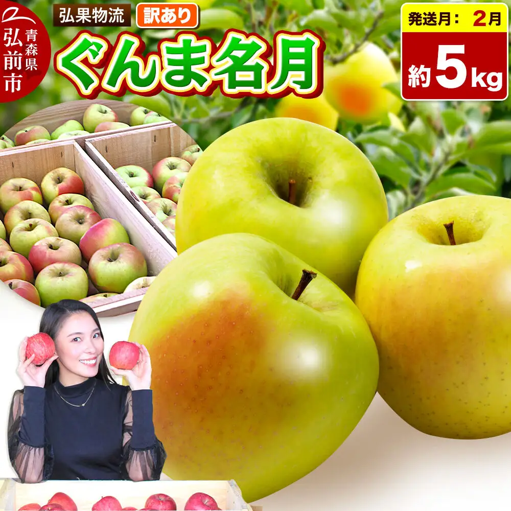 【27年2月発送】りんご ぐんま名月【訳あり】約5kg 先行受付 家庭用 青森県 弘前市 果物 フルーツ 林檎 リンゴ くだもの 不揃い 規格外