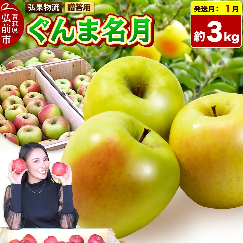 【27年1月発送】りんご ぐんま名月【贈答用】約3kg 先行受付 青森県 弘前市 果物 フルーツ 林檎 リンゴ くだもの ギフト 贈り物