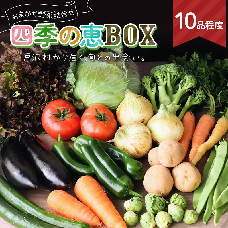 野菜詰合せ 農家のおまかせ 四季の恵BOX 10品程度 旬の野菜を1回お届け F7W-0500