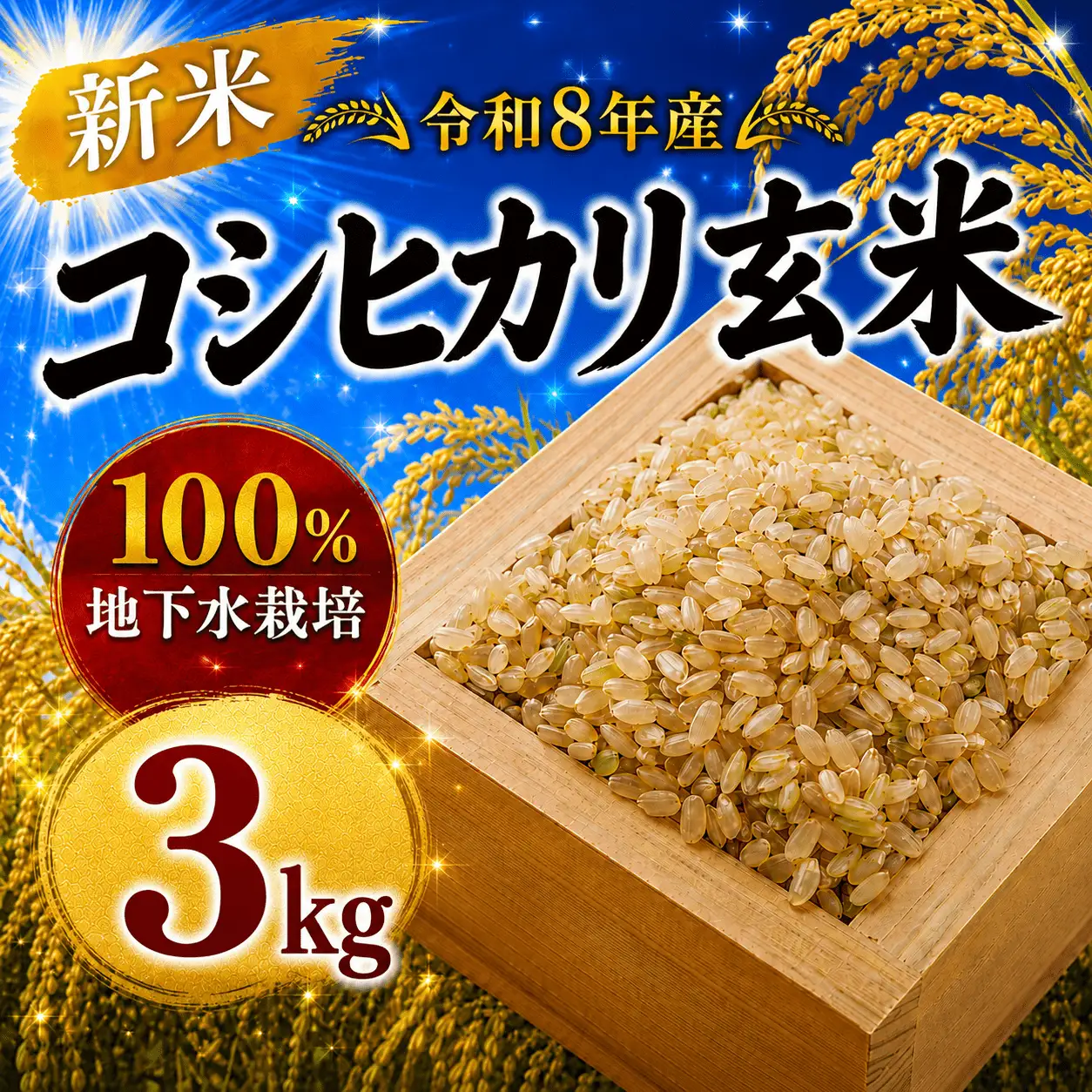 玄米 令和8年度産 コシヒカリ 3kg [A-mry001] | 茨城県筑西市