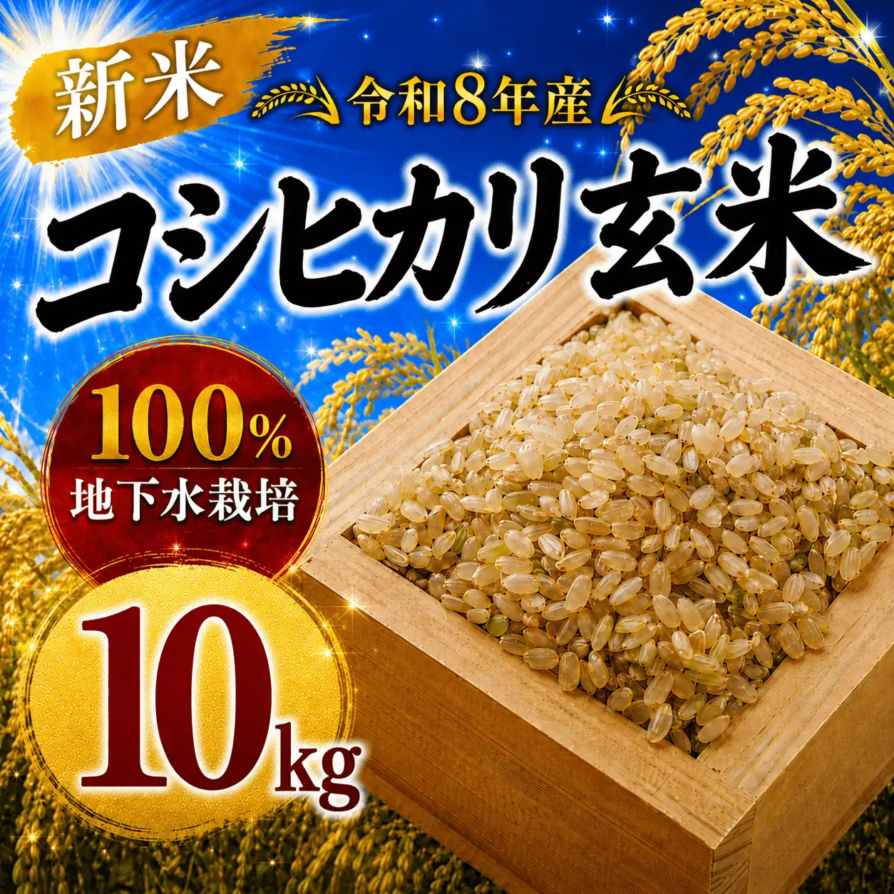 ＼まもなく発送開始／ 玄米 令和8年度産 コシヒカリ 10kg [A-mry003]