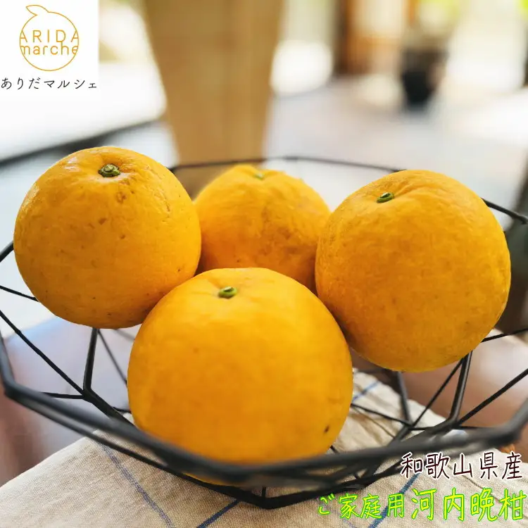 有田育ちの 爽やか 河内晩柑 (ご家庭用) 約1.5kg［2027年4月から発送］［MS169］