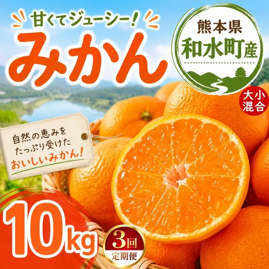 【定期便3回】熊本県 和水町産 大小混合 みかん 10kg ミカン フルーツ 定期便