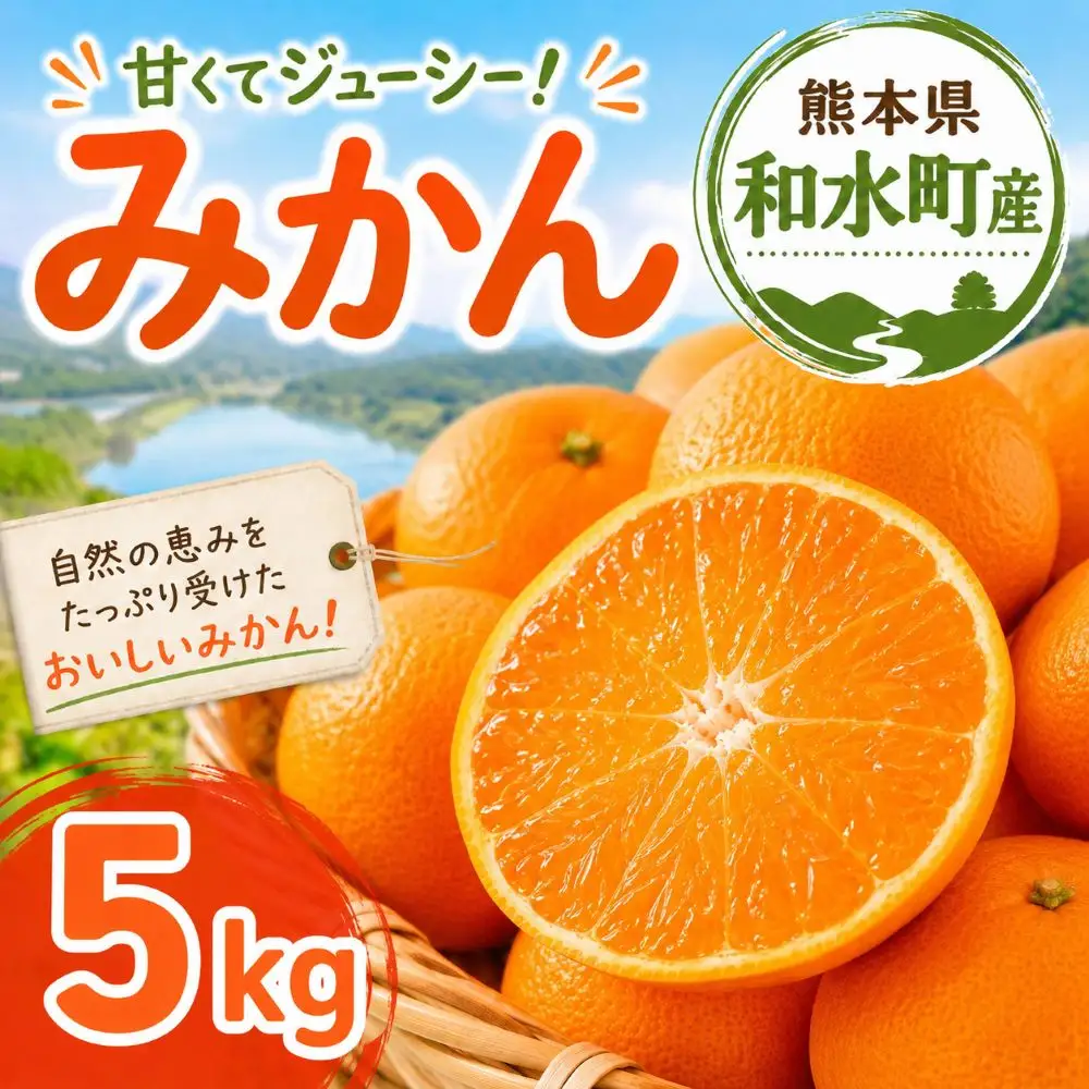 熊本県 和水町産 大小混合 みかん 5kg ミカン フルーツ 果物