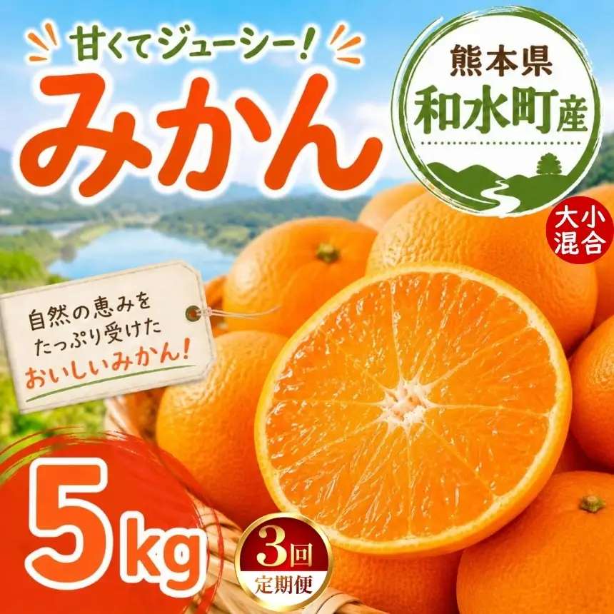 くるみかん6冊 定期便3回】 熊本県 和水町産 大小混合 みかん 5kg ミカン フルーツ