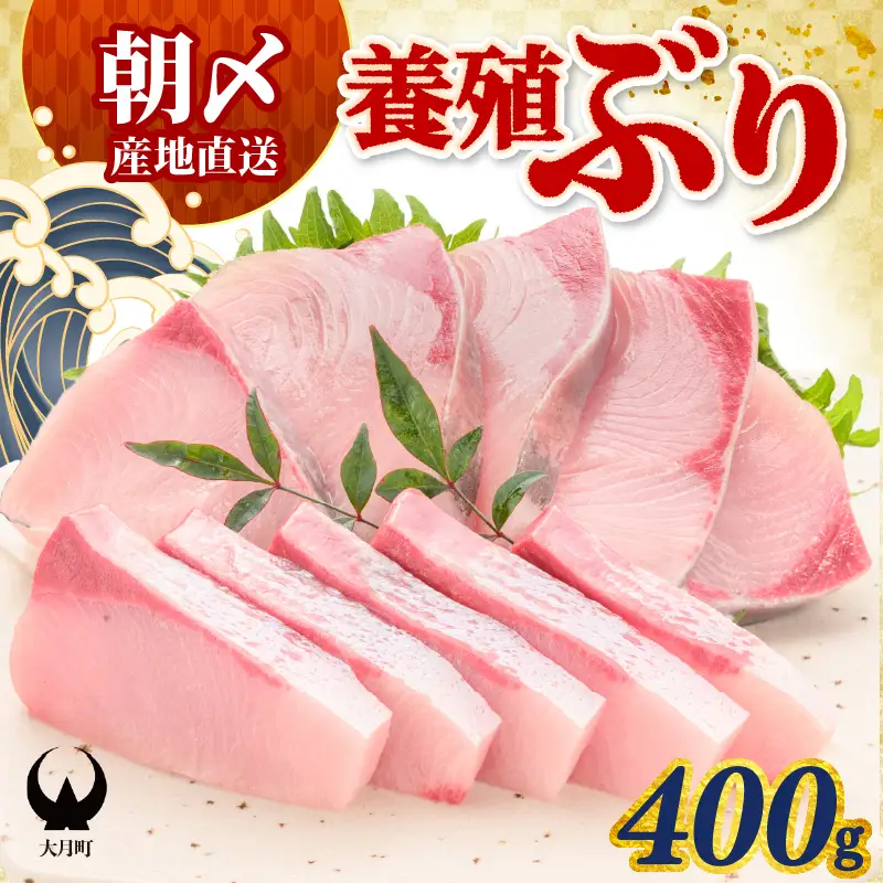 ぶり 400g 養殖 冷蔵ぶり