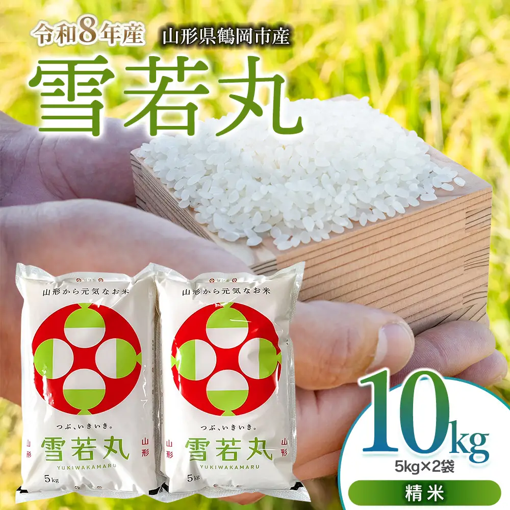【令和8年産 新米】雪若丸 精米10kg（5kg×2袋）K-863 馬町さくらファーム